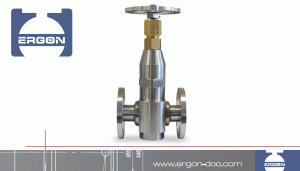 Fine Control Globe Valves