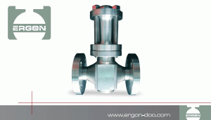 Gas Strainers With Flanges Connections - Radial Valves